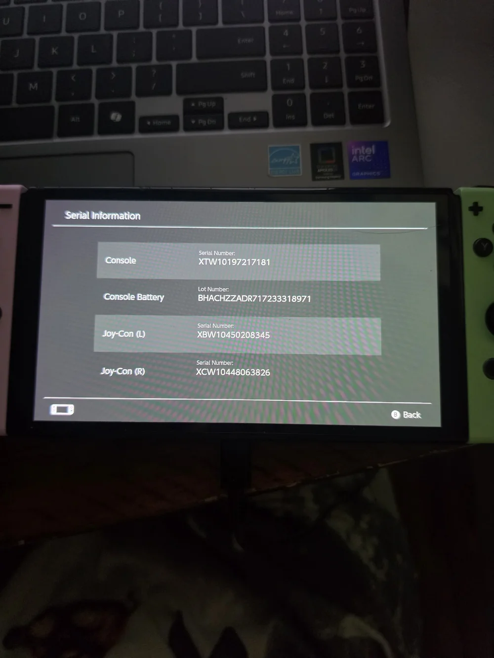 Nintendo adult owned